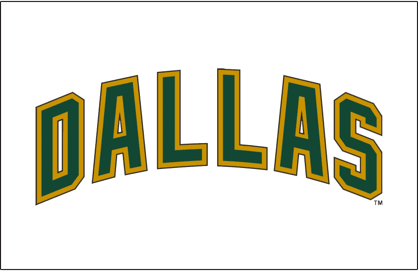 Dallas Stars 2008-2013 Jersey Logo iron on transfers for clothing